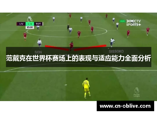 范戴克在世界杯赛场上的表现与适应能力全面分析