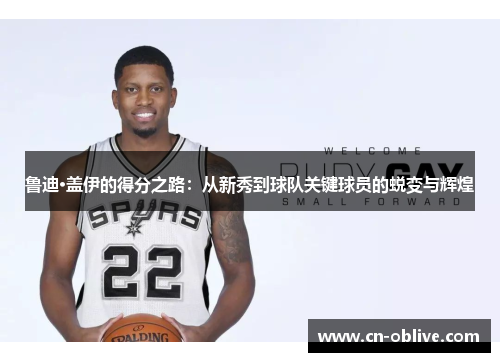 鲁迪·盖伊的得分之路：从新秀到球队关键球员的蜕变与辉煌