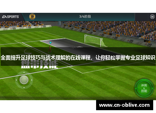 全面提升足球技巧与战术理解的在线课程，让你轻松掌握专业足球知识