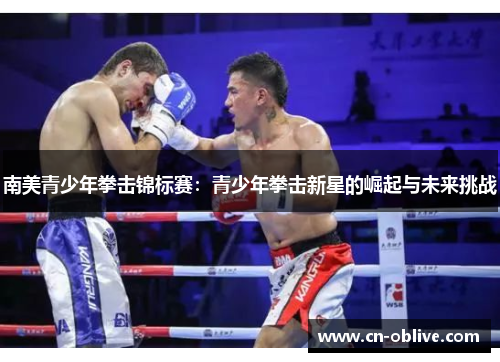 南美青少年拳击锦标赛：青少年拳击新星的崛起与未来挑战