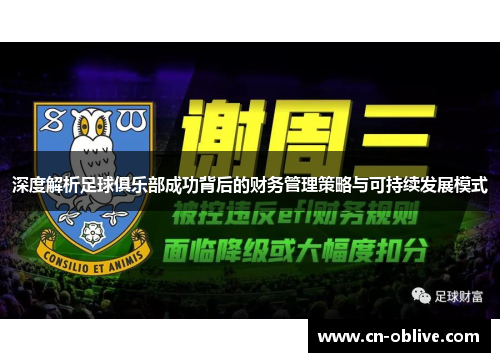 深度解析足球俱乐部成功背后的财务管理策略与可持续发展模式
