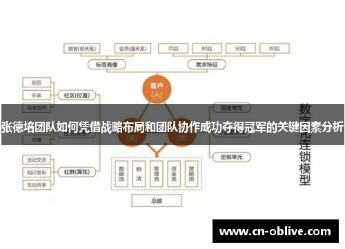 张德培团队如何凭借战略布局和团队协作成功夺得冠军的关键因素分析