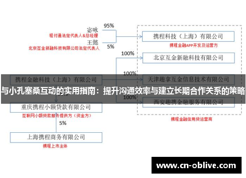 与小孔塞桑互动的实用指南：提升沟通效率与建立长期合作关系的策略